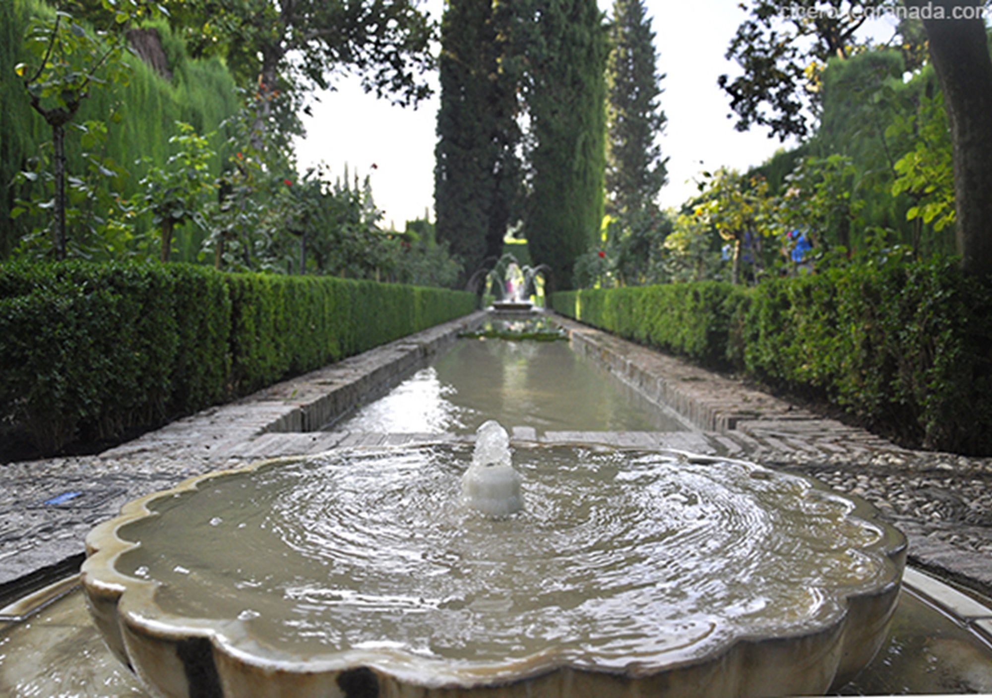 Full day Private Visits tours Alhambra + City Centre old quarter Granada